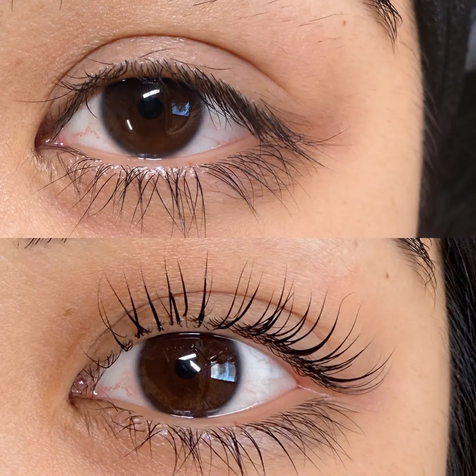 Lash Lift & Tint at Bella Beauty Brazil in Greenslopes